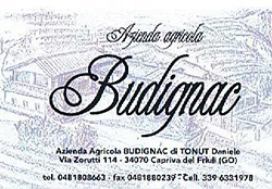 banner_budignac